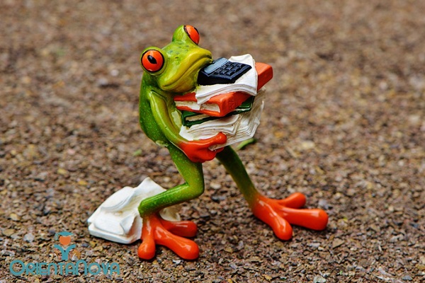 cómo preparar exámenes finales