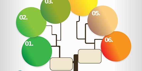 6 pasos para un estudio eficaz estudio eficaz