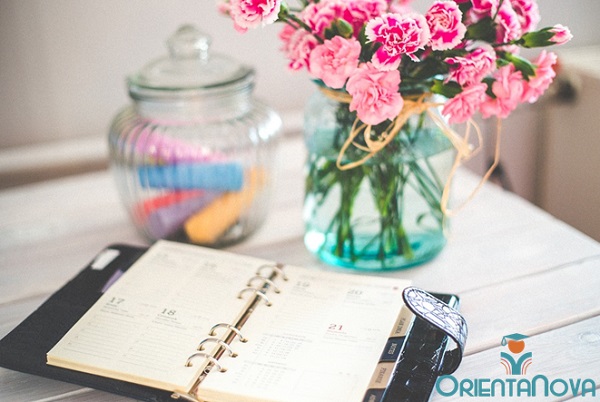 planificación diaria de estudio planificación diaria de estudio