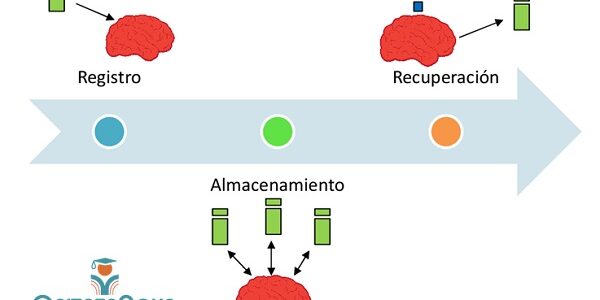 la memoria al estudiar memoria al estudiar