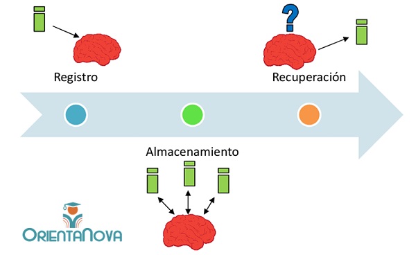 la memoria al estudiar memoria al estudiar