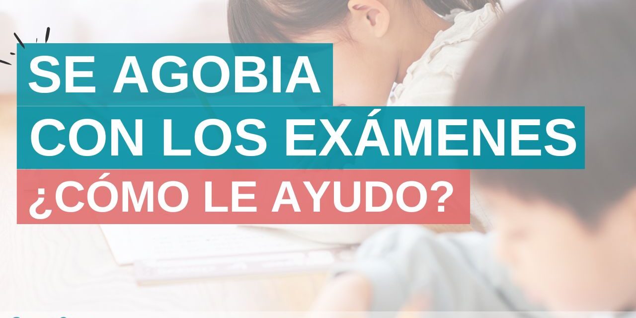 Ayudar a tu hijo en época de exámenes Tips para ayudar a tu hijo en época de exámenes